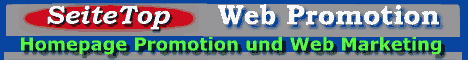 Homepage-Promotion und Web-Marketing